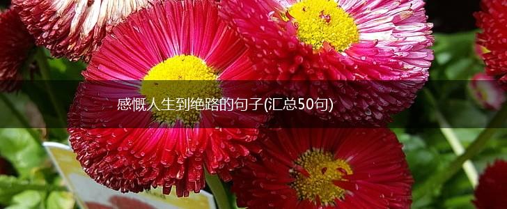 感慨人生到绝路的句子(汇总50句),第1张