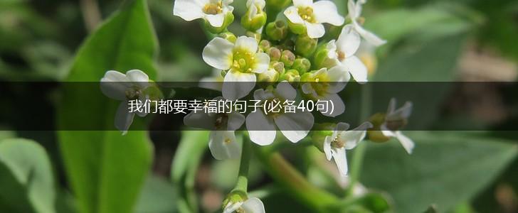 我们都要幸福的句子(必备40句),第1张