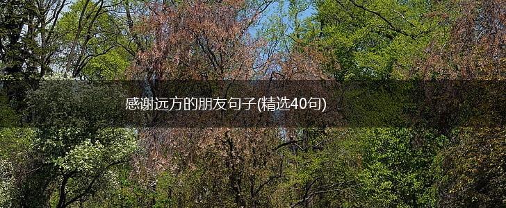感谢远方的朋友句子(精选40句),第1张