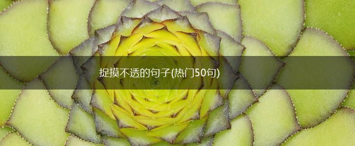 捉摸不透的句子(热门50句),第1张
