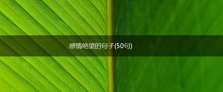 感情绝望的句子(50句),第1张