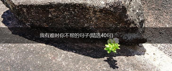 我有难时你不帮的句子(精选40句),第1张