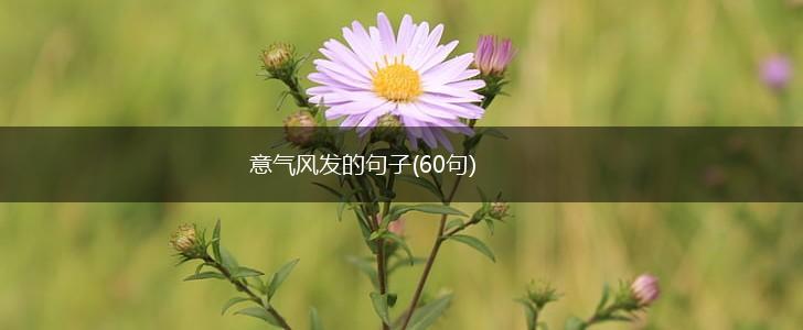 意气风发的句子(60句),第1张