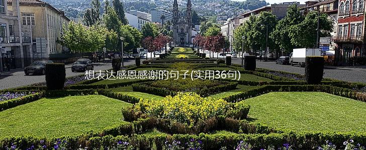 想表达感恩感谢的句子(实用36句),第1张