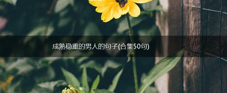成熟稳重的男人的句子(合集50句),第1张