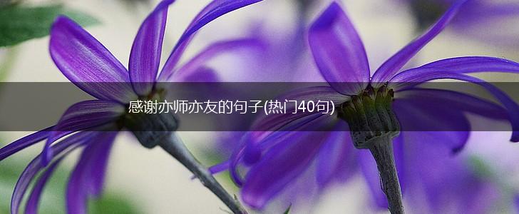 感谢亦师亦友的句子(热门40句),第1张