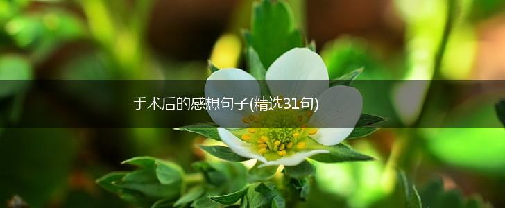 手术后的感想句子(精选31句),第1张