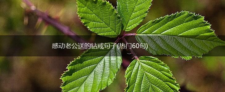 感动老公送的钻戒句子(热门60句),第1张