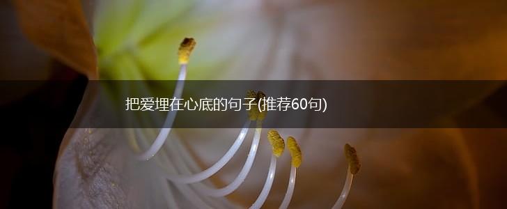 把爱埋在心底的句子(推荐60句),第1张