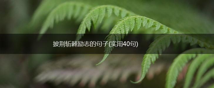 披荆斩棘励志的句子(实用40句),第1张