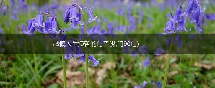 感慨人生短暂的句子(热门90句),第1张