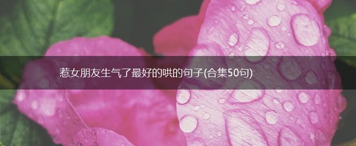 惹女朋友生气了最好的哄的句子(合集50句),第1张