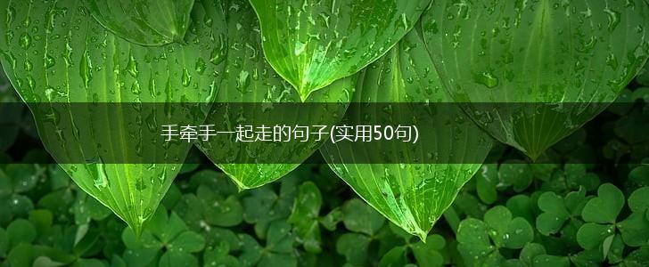 手牵手一起走的句子(实用50句),第1张