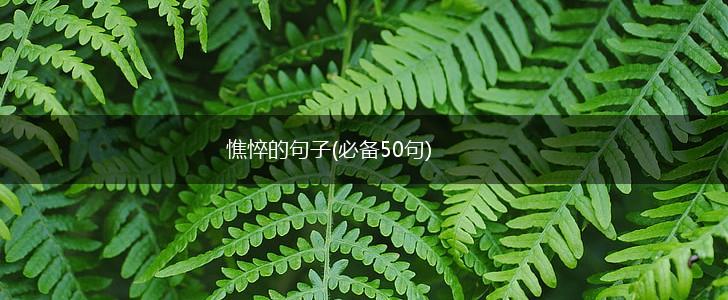 憔悴的句子(必备50句),第1张