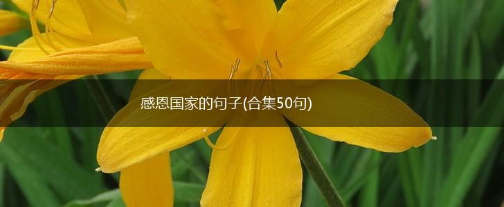 感恩国家的句子(合集50句),第1张