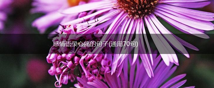 感情语录心痛的句子(通用70句),第1张
