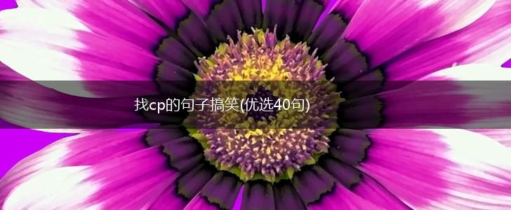 找cp的句子搞笑(优选40句),第1张