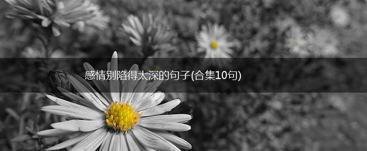 感情别陷得太深的句子(合集10句),第1张