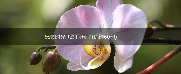 感慨时光飞逝的句子(优选60句),第1张