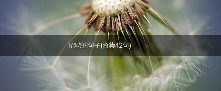 招聘的句子(合集42句),第1张