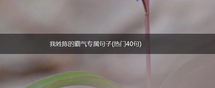 我姓陈的霸气专属句子(热门40句),第1张