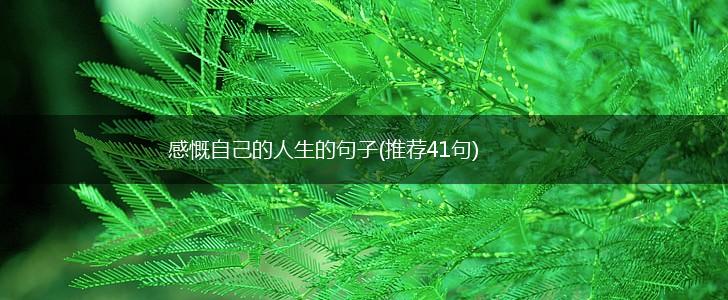 感慨自己的人生的句子(推荐41句),第1张