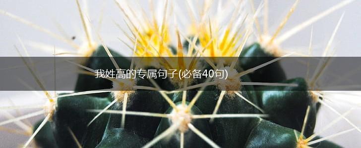 我姓高的专属句子(必备40句),第1张