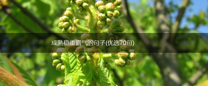 成熟稳重霸气的句子(优选70句),第1张