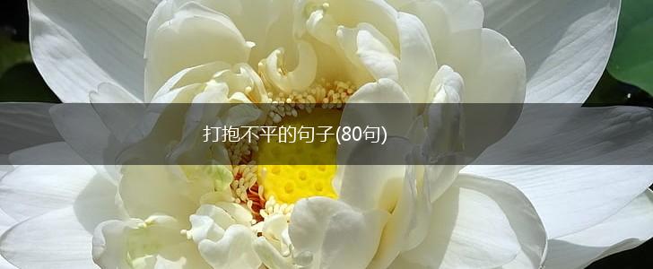 打抱不平的句子(80句),第1张