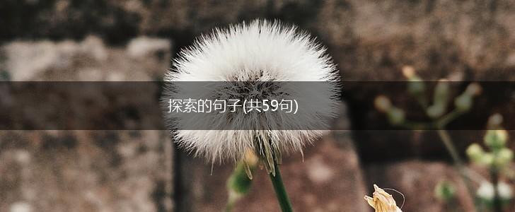 探索的句子(共59句),第1张