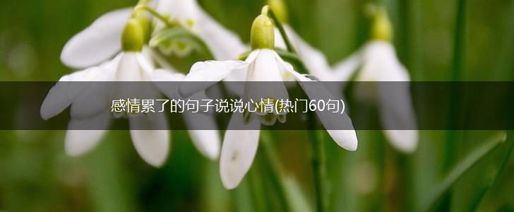 感情累了的句子说说心情(热门60句),第1张