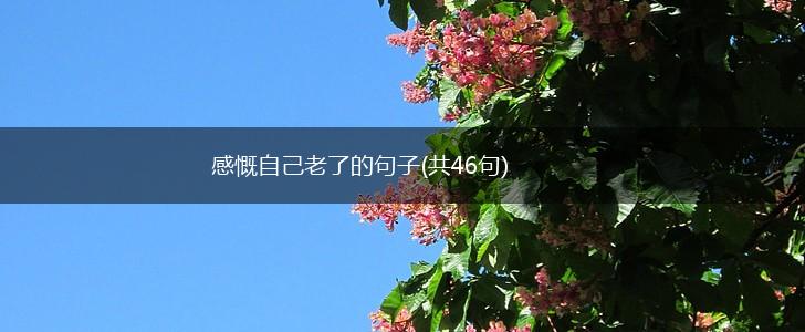 感慨自己老了的句子(共46句),第1张