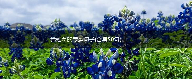 我姓葛的专属句子(合集50句),第1张
