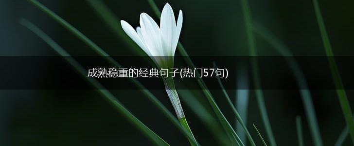 成熟稳重的经典句子(热门57句),第1张