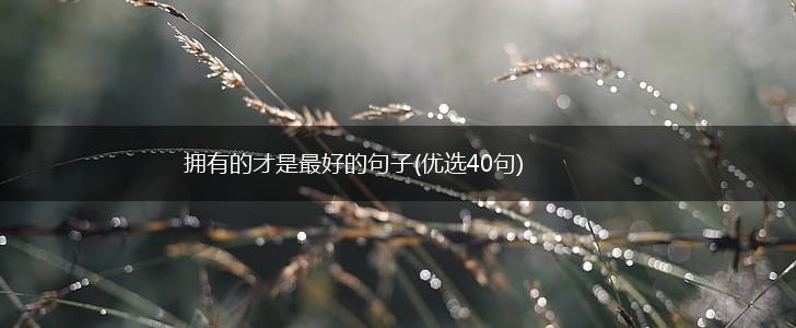 拥有的才是最好的句子(优选40句),第1张
