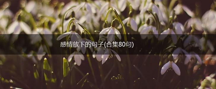 感情放下的句子(合集80句),第1张