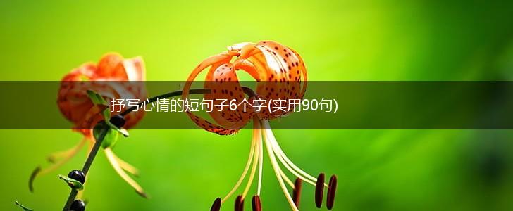抒写心情的短句子6个字(实用90句),第1张