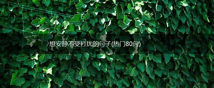 想安静不受打扰的句子(热门80句),第1张