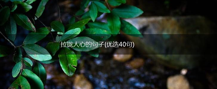 拉拢人心的句子(优选40句),第1张