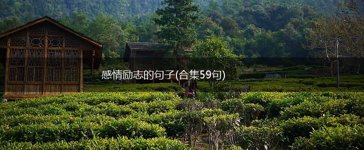 感情励志的句子(合集59句),第1张
