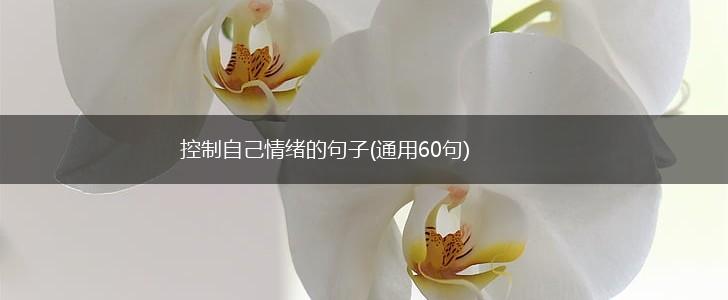 控制自己情绪的句子(通用60句),第1张