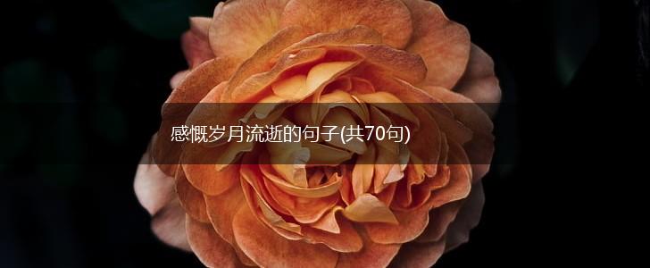 感慨岁月流逝的句子(共70句),第1张