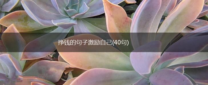 挣钱的句子激励自己(40句),第1张