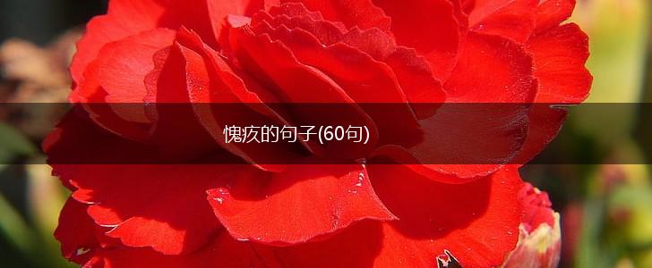 愧疚的句子(60句),第1张