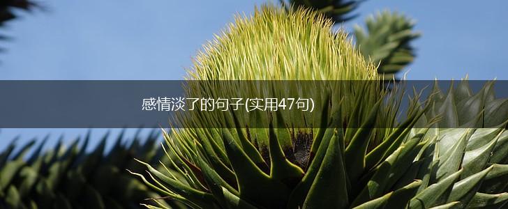 感情淡了的句子(实用47句),第1张