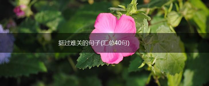 挺过难关的句子(汇总40句),第1张