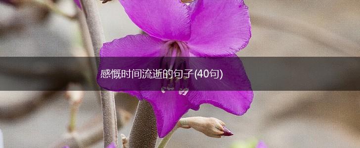 感慨时间流逝的句子(40句),第1张