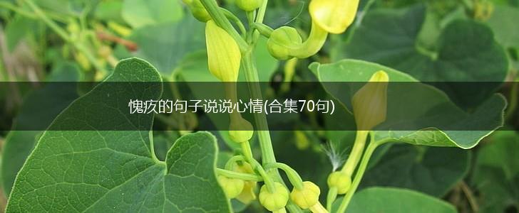 愧疚的句子说说心情(合集70句),第1张