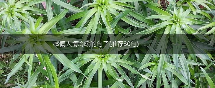 感慨人情冷暖的句子(推荐30句),第1张