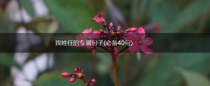 我姓任的专属句子(必备40句),第1张